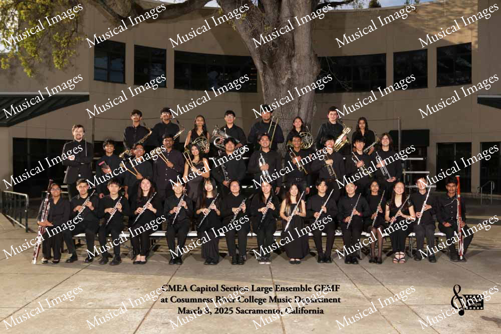 Musical Images